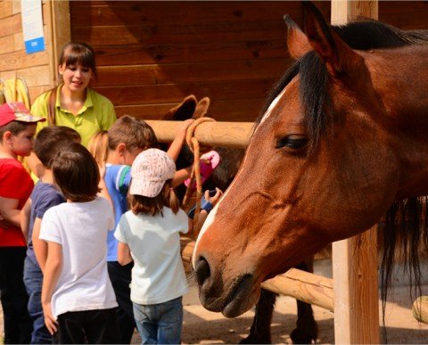 Sortides escolars La Granja