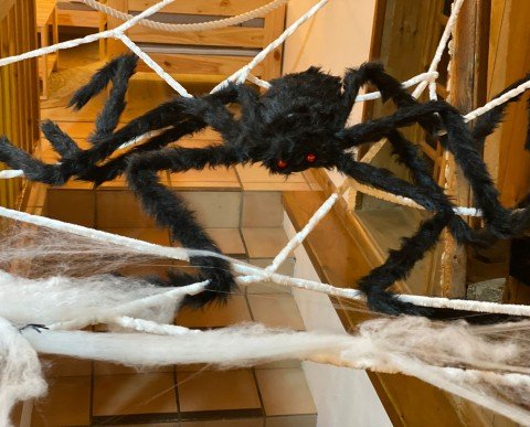 CASTAHALLOWEEN 2023