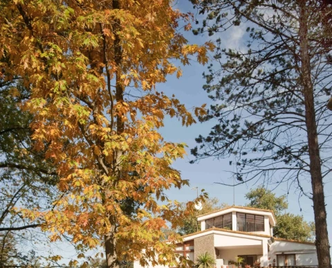 El Bosc de la Massana