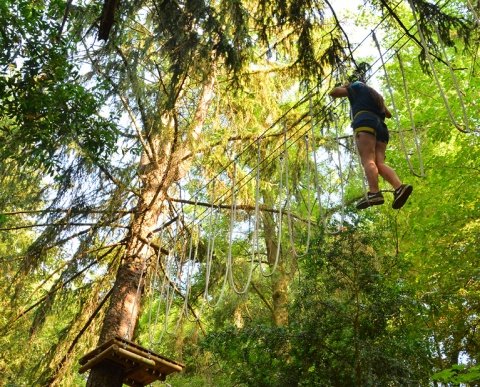 BOSC DEL CEL - CIRCUÏT D'AVENTURA