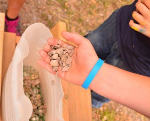 COLONIES ESCOLARS EMOCIONS, NATURA I AVENTURA