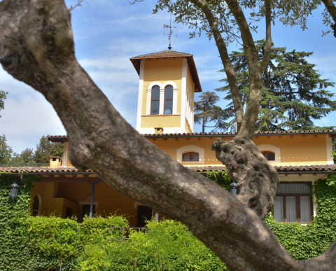 Imagenes web eix 480x387 (24)