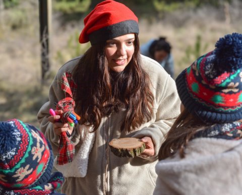 PONT DE DESEMBRE A L'ALDRIC