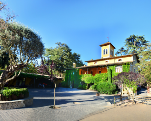 CAP D'ANY 2025/26 - AL TEU AIRE