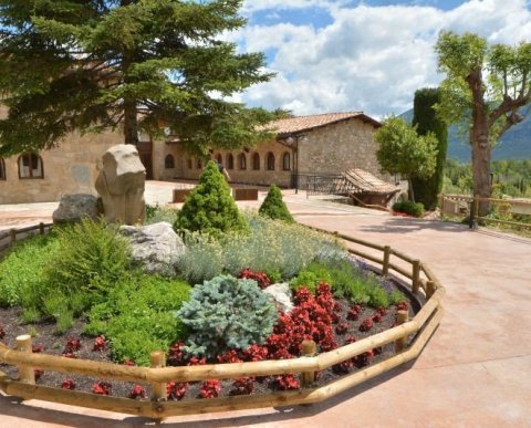 El bosc Màgic del Tió del Jou Nature