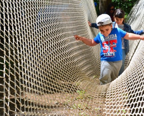 Colònies escolars natura i aventura