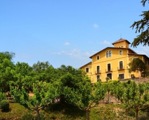 Vacances Singles amb fills Agost 2026