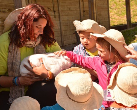 Sortides escolars La Granja