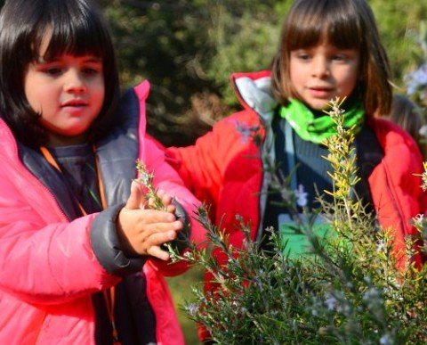 COLONIES ESCOLARS EMOCIONS, NATURA I AVENTURA