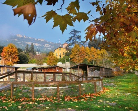 CAP D'ANY 2025/26 - AL TEU AIRE