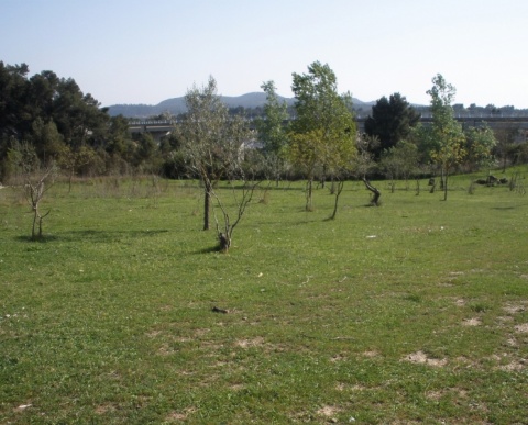 Castell de la Pobla