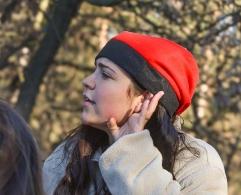 El bosc Màgic del Tió del Jou Nature