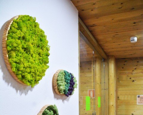 Detalls El Jou Nature