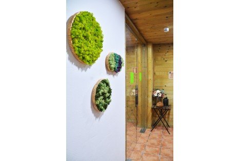 Detalls El Jou Nature
