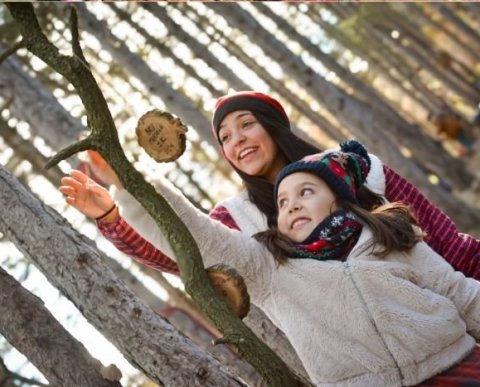 El bosc Màgic del Tió del Jou Nature