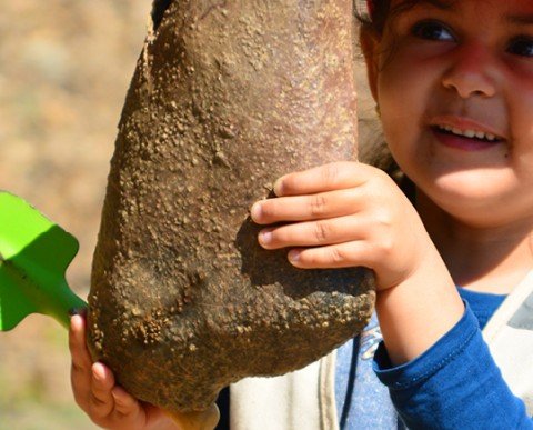 COLONIAS ESCOLARS LA CIENCIA DE LA TIERRA