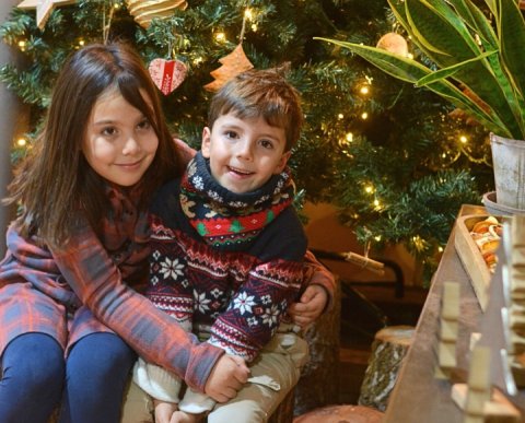 PONT DE DESEMBRE A L'ALDRIC