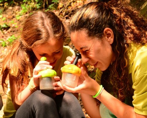 Colònies escolars natura i aventura