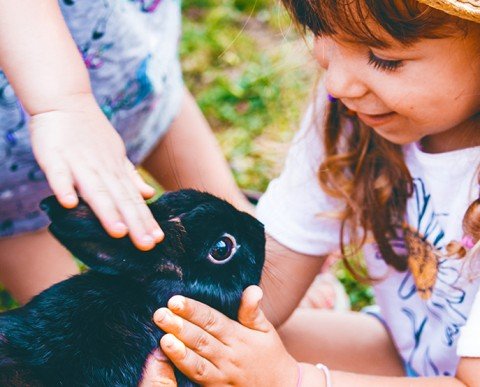 Sortides escolars La Granja