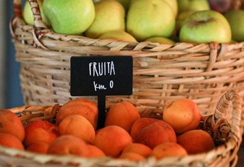 Eix Estels: Pioners en benestar alimentari a les cases de colònies