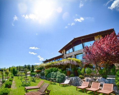 El bosc Màgic del Tió del Jou Nature