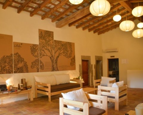 CAPS DE SETMANA TOT L'ANYA A CASES DE COLÒNIES