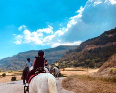 Colònies estiu Hípica anglès Eix estels