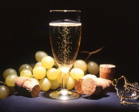 CAP D'ANY 2025/26 ANIMAT AMB ACTIVITATS