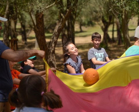 PONT DE MAIG 2026 ALDRIC