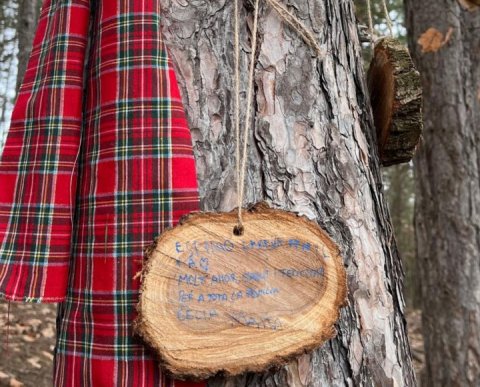 PONT DE DESEMBRE A L'ALDRIC