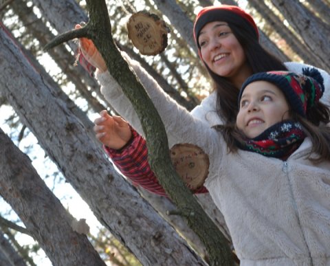 PONT DE DESEMBRE A L'ALDRIC