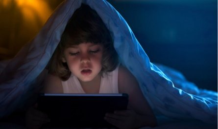 És perillós Internet pels teus fills?