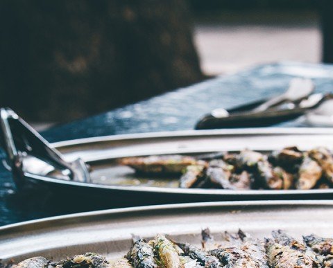 Vacances Singles amb fills Agost 2026