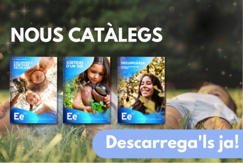Nous catalegs escolars 26/27