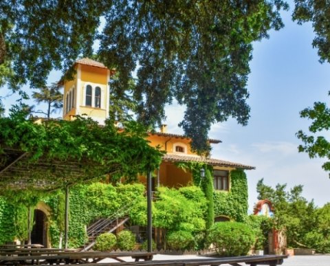 Vacances Singles amb fills Agost 2026