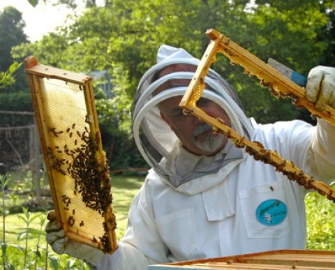 salidas apicultura