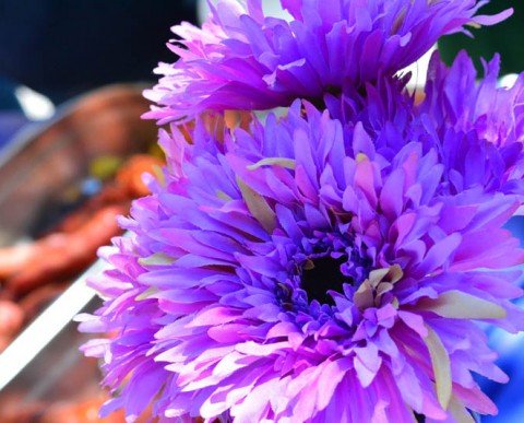 Vacaciones Singles con hijos Agosto 2026