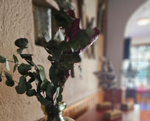 FIN DE AÑO 2025/26 - A TU AIRE