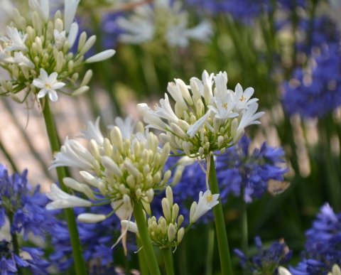 Mas Salvador Rural Experience