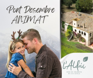 PUENTE DE DICIEMBRE EN ALDRIC