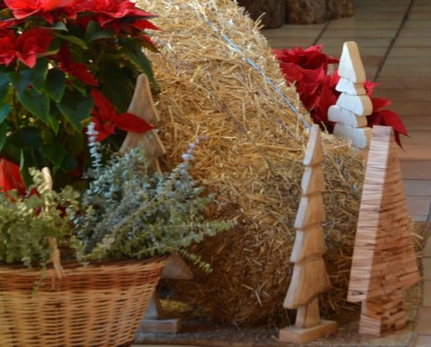 PUENTE DE DICIEMBRE EN ALDRIC