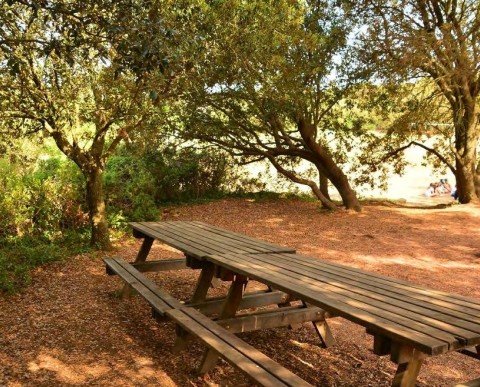 FINES DE SEMANA TODO LA AÑA EN CASAS DE COLONIAS