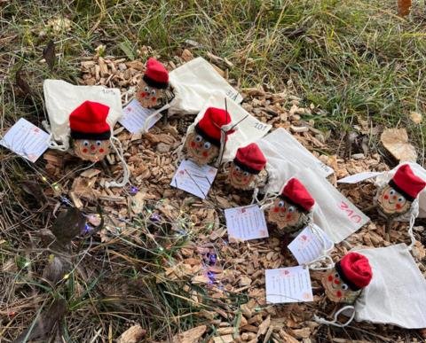 El bosque Mágico del Tió del Jou Nature