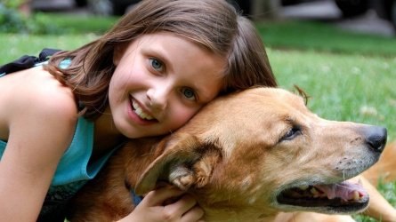 ¿Por qué es tan beneficioso que los niños tengan perro?