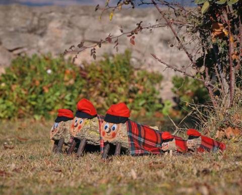 El bosque Mágico del Tió del Jou Nature