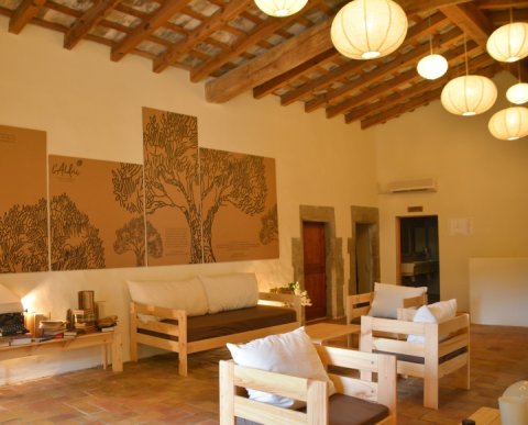  CASA DE COLONIAS ALDRIC