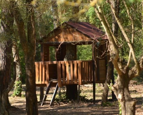 PUENTE DE DICIEMBRE EN ALDRIC