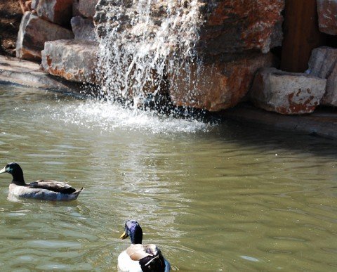 Salidas escolares La Granja