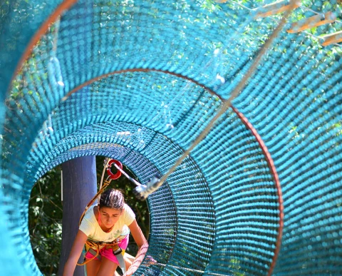 colonias escolares de cielo