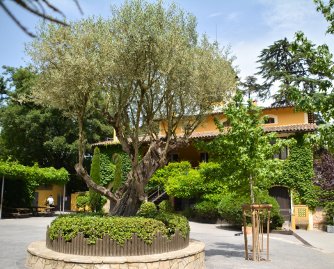 FIN DE AÑO 2025/26 - A TU AIRE